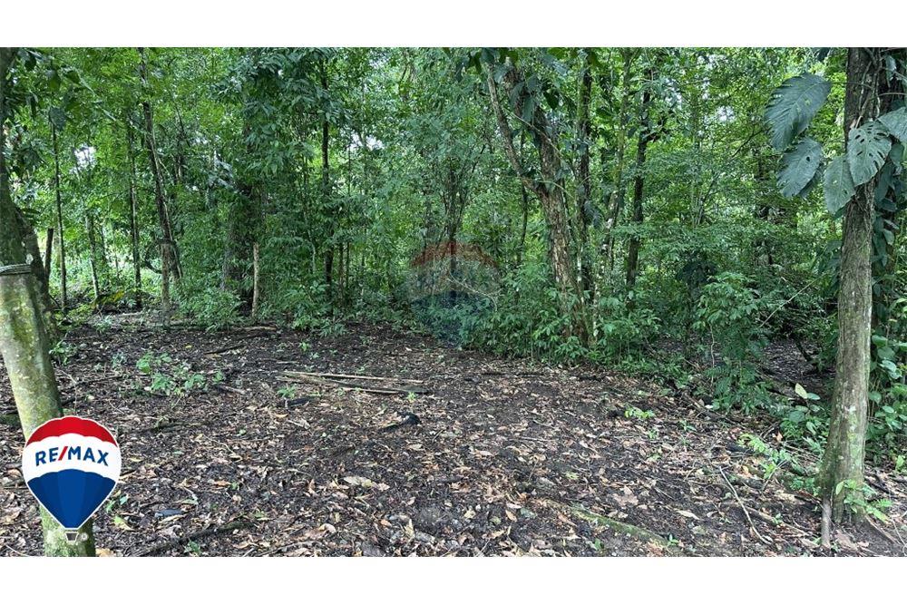 Commercial - Land - San José, San José, Costa Rica - Caribbean & Central Ameri - 6 - 90168030-67
