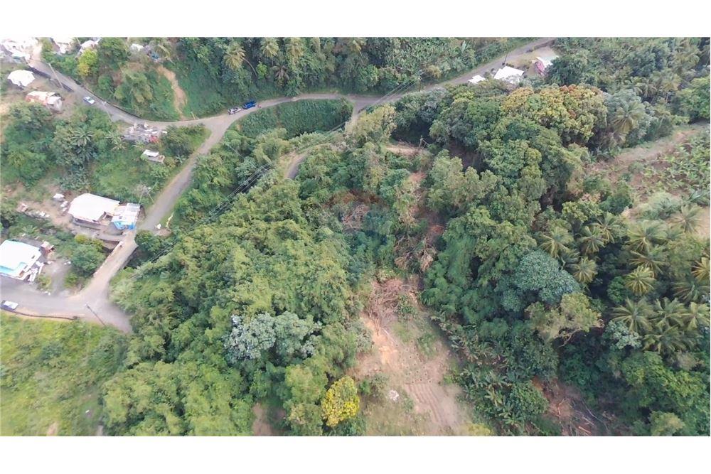 Commercial - Land - Adelphi, St Vincent, St Vincent and the Grenadines - Caribbean & Central Ameri - 1 - 90109004-59