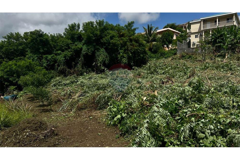 Commercial - Land - Arnos Vale, St Vincent, St Vincent and the Grenadines - Caribbean & Central Ameri - 3 - 90109004-72