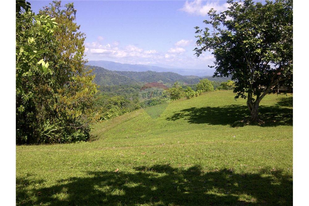 Commercial - Land - Golfito, Puntarenas - Golfito, Costa Rica - Caribbean & Central Ameri - 6 - 90168026-105