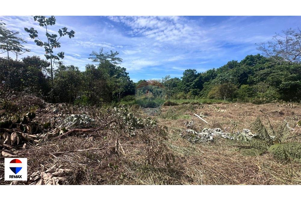 Commercial - Land - Parrita - Esterillos, Puntarenas - Parrita, Costa Rica - Caribbean & Central Ameri - 21 - 90168030-72