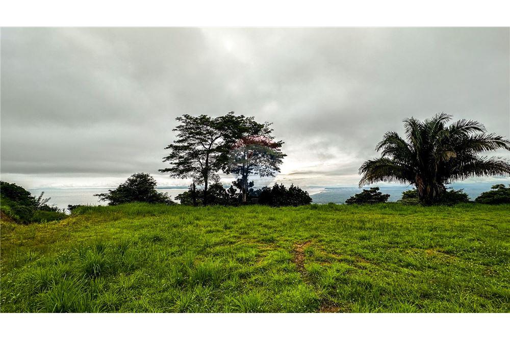Commercial - Land - Jaco - Jaco, Puntarenas- Garabito, Costa Rica - Caribbean & Central Ameri - 12 - 90168016-216