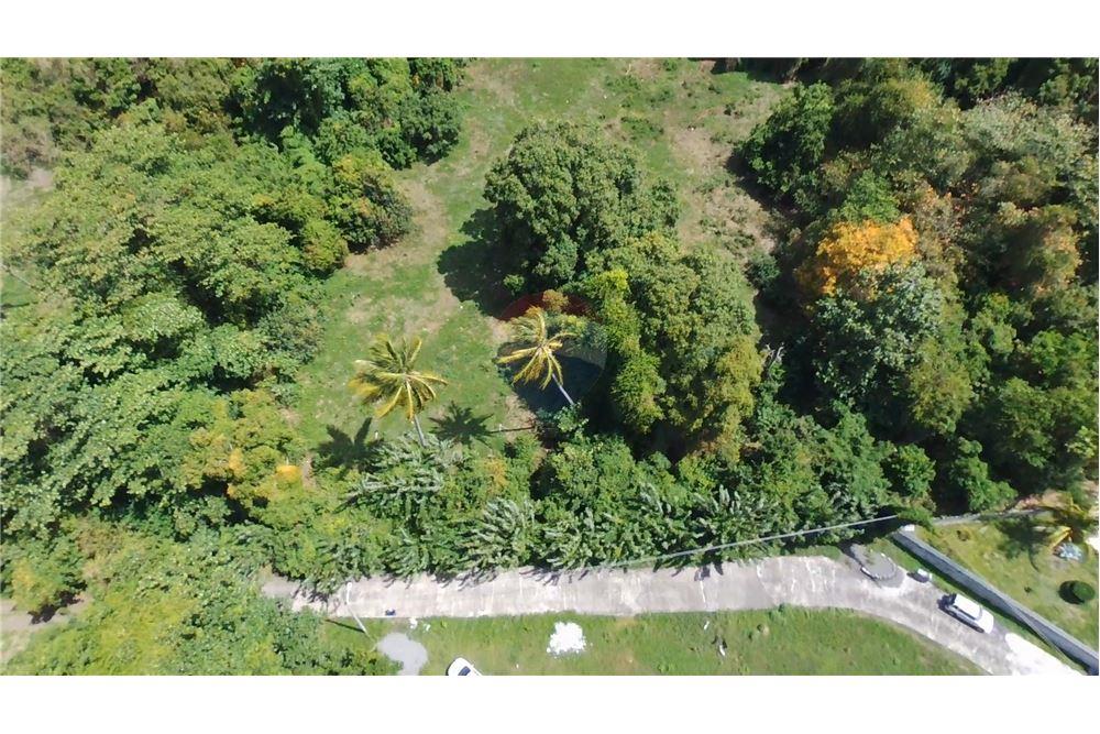 Commercial - Land - Brighton Village, St Vincent, St Vincent and the Grenadines - Caribbean & Central Ameri - 4 - 90109001-351