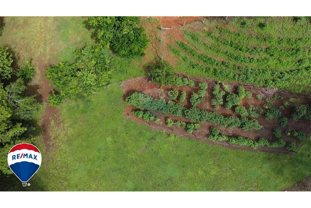 Commercial - Land - San José, San José, Costa Rica - Caribbean & Central Ameri - 1 - 90168030-67