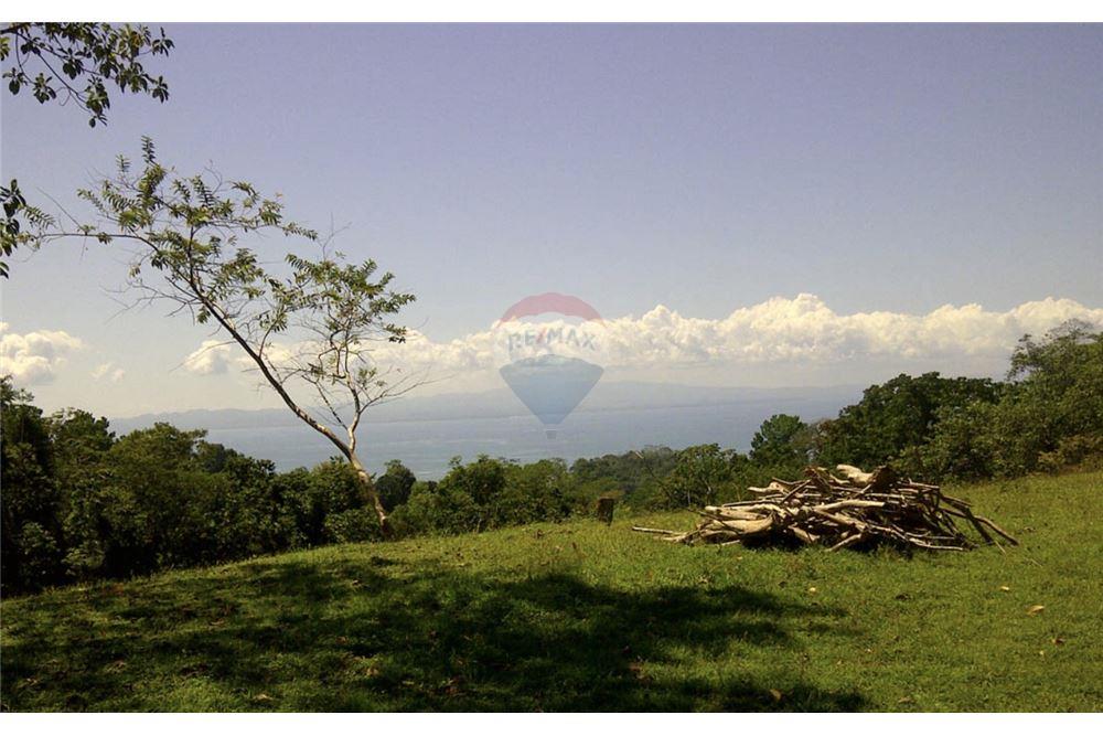 Commercial - Land - Golfito, Puntarenas - Golfito, Costa Rica - Caribbean & Central Ameri - 4 - 90168026-105