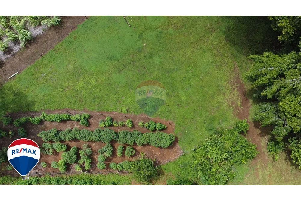 Commercial - Land - San José, San José, Costa Rica - Caribbean & Central Ameri - 21 - 90168030-67