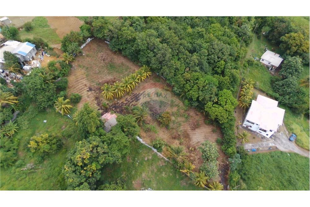 Commercial - Land - Stubbs, St Vincent, St Vincent and the Grenadines - Caribbean & Central Ameri - 5 - 90109004-55