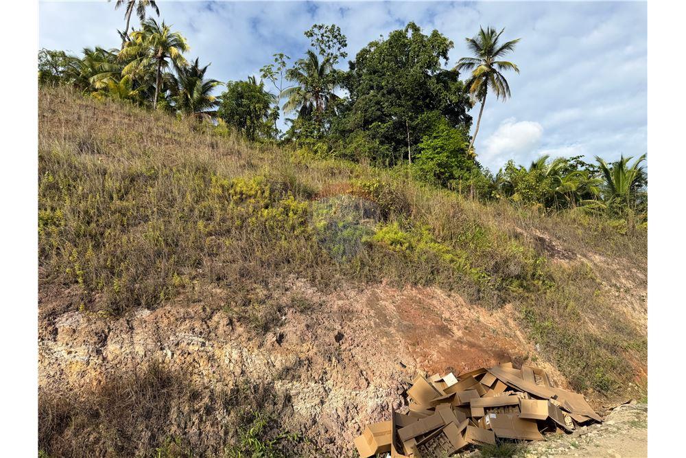 Commercial - Land - Castries, Castries, St Lucia - Caribbean & Central Ameri - 8 - 902071001-230