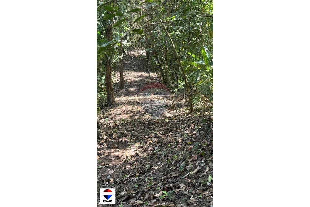 Commercial - Land - Tarcoles - Quebrada Ganado, Puntarenas- Garabito, Costa Rica - Caribbean & Central Ameri - 22 - 90168030-59