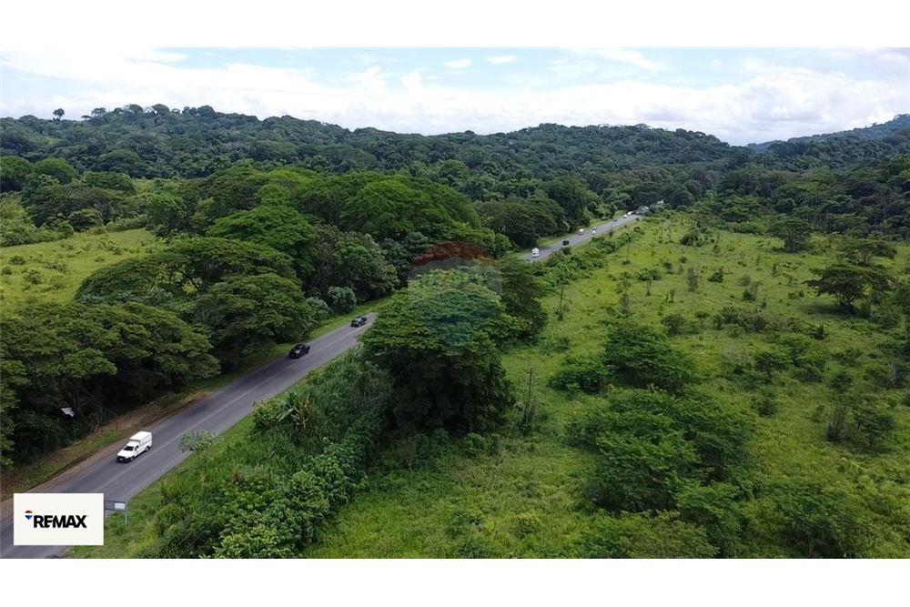 Commercial - Land - Puntarenas, Puntarenas - Puntarenas, Costa Rica - Caribbean & Central Ameri - 29 - 90168030-53