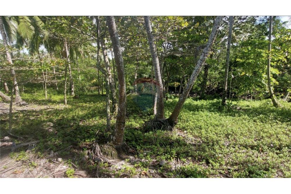 Commercial - Land - Pavones, Guanacaste, Costa Rica - Caribbean & Central Ameri - 6 - 90168026-97
