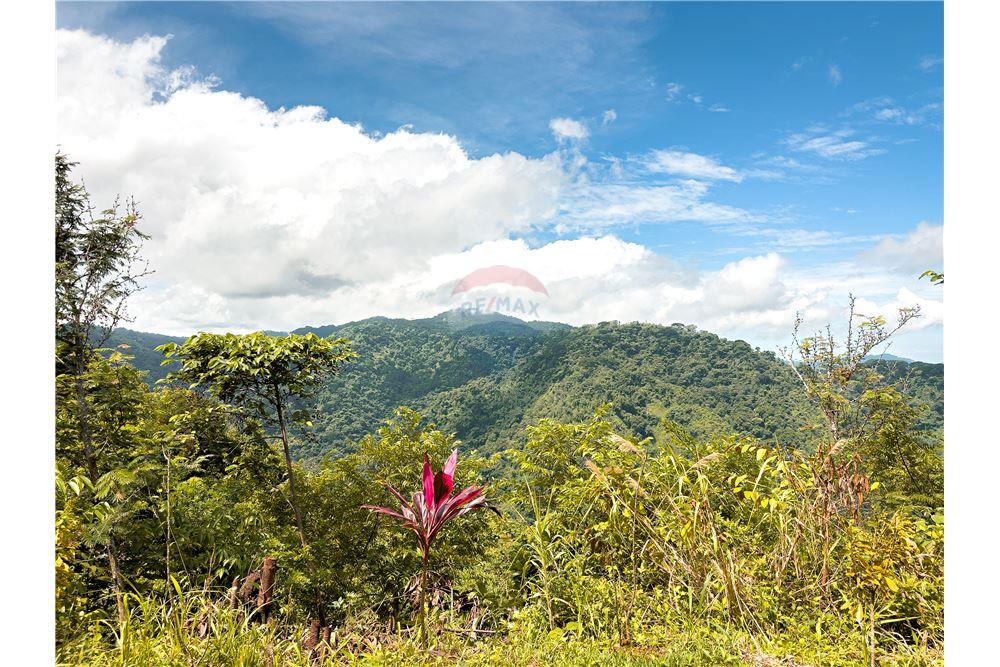 Residential - Villa - Puntarenas, Puntarenas - Puntarenas, Costa Rica - Caribbean & Central Ameri - 5 - 90168039-28