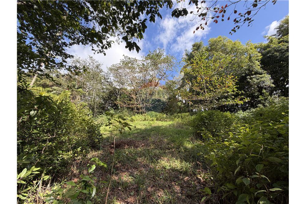 Commercial - Land - Balata, Castries, St Lucia - Caribbean & Central Ameri - 2 - 902071001-223