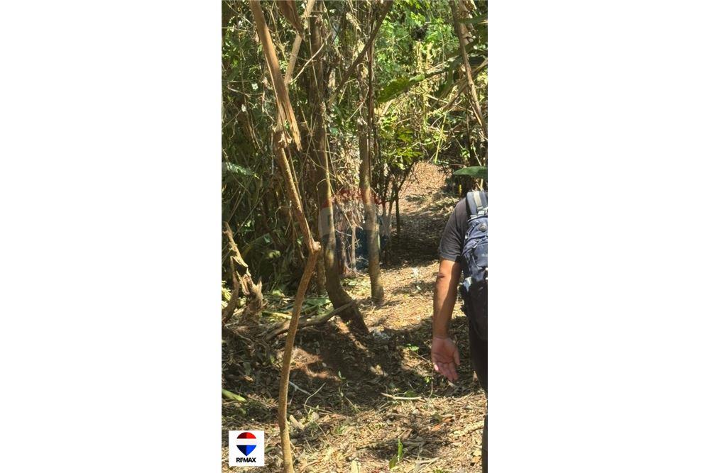 Commercial - Land - Tarcoles - Quebrada Ganado, Puntarenas- Garabito, Costa Rica - Caribbean & Central Ameri - 8 - 90168030-59