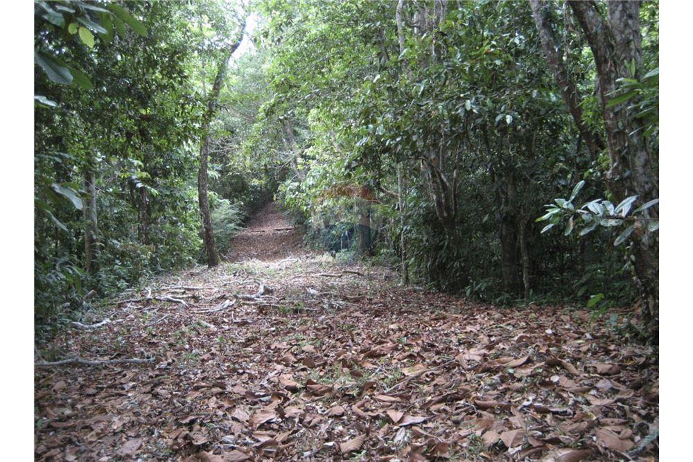 Commercial - Land - Golfito, Puntarenas - Golfito, Costa Rica - Caribbean & Central Ameri - 7 - 90168026-105