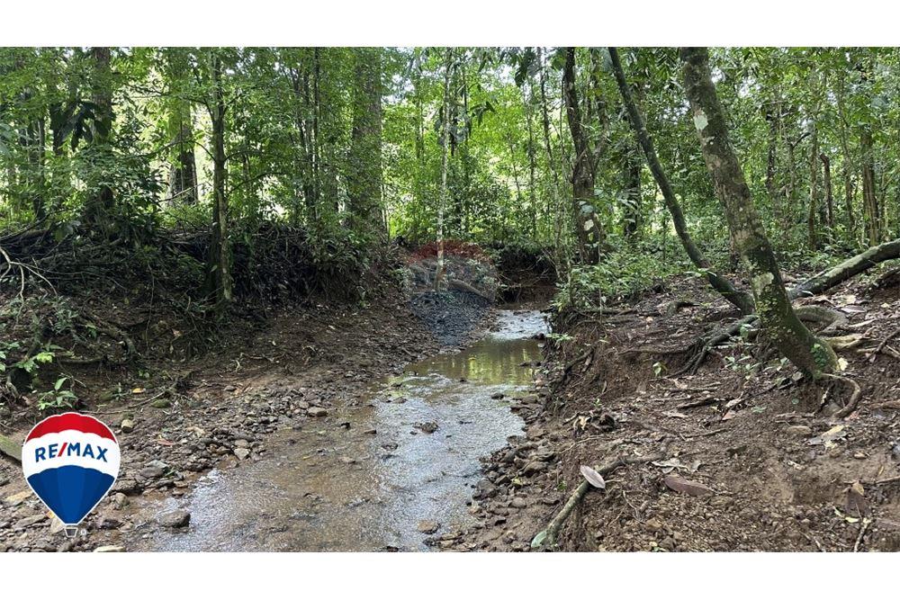 Commercial - Land - San José, San José, Costa Rica - Caribbean & Central Ameri - 8 - 90168030-67