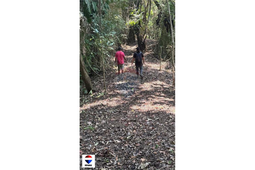 Commercial - Land - Tarcoles - Quebrada Ganado, Puntarenas- Garabito, Costa Rica - Caribbean & Central Ameri - 18 - 90168030-59