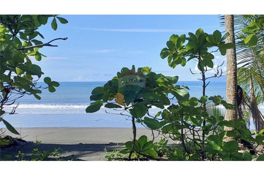 Commercial - Land - Pavones, Guanacaste, Costa Rica - Caribbean & Central Ameri - 4 - 90168026-97