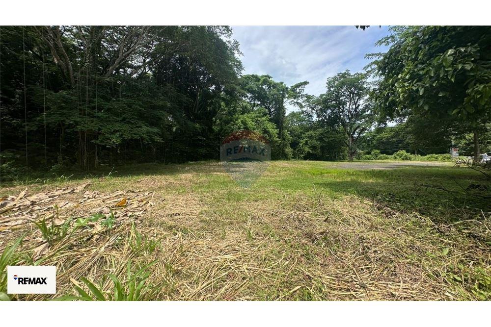 Commercial - Land - Puntarenas, Puntarenas - Puntarenas, Costa Rica - Caribbean & Central Ameri - 26 - 90168030-53