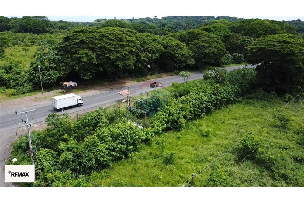 Commercial - Land - Puntarenas, Puntarenas - Puntarenas, Costa Rica - Caribbean & Central Ameri - 27 - 90168030-53
