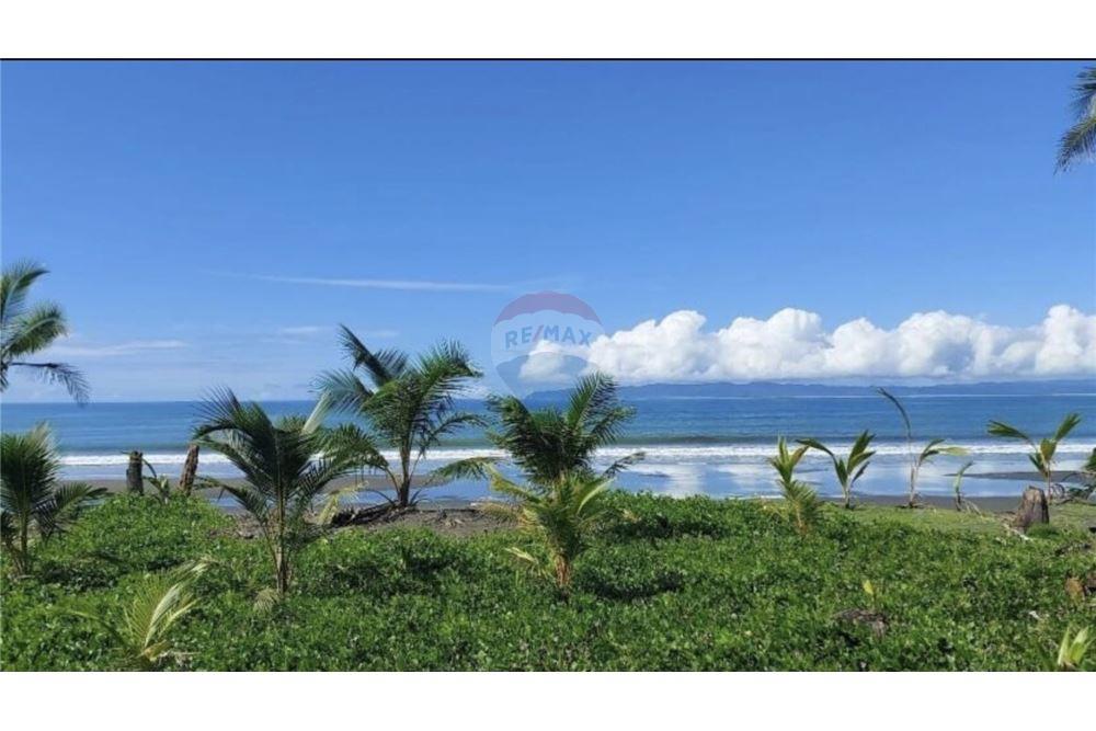 Commercial - Land - Pavones, Guanacaste, Costa Rica - Caribbean & Central Ameri - 2 - 90168026-97