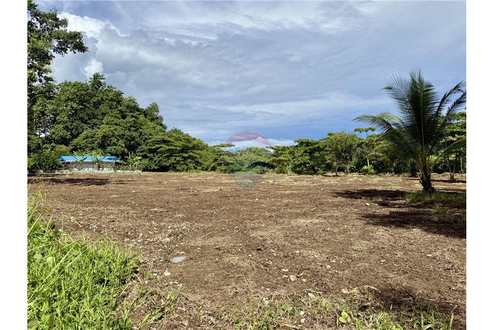 Commercial - Land - Pavones, Guanacaste, Costa Rica - Caribbean & Central Ameri - 1 - 90168026-91