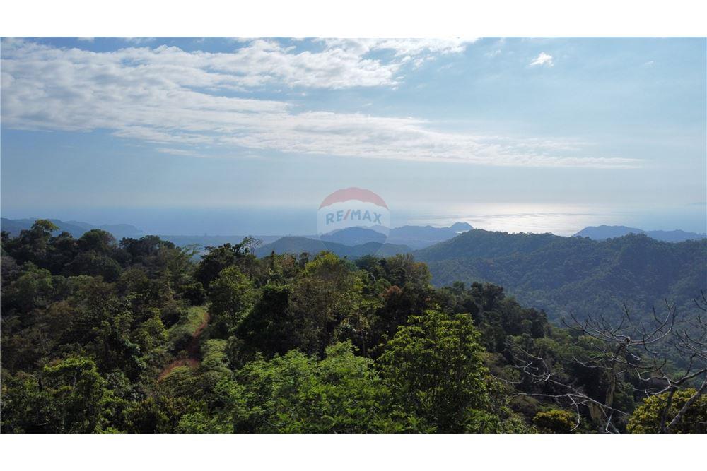 Commercial - Land - Bijagual, Puntarenas, Costa Rica - Caribbean & Central Ameri - 7 - 90168030-68
