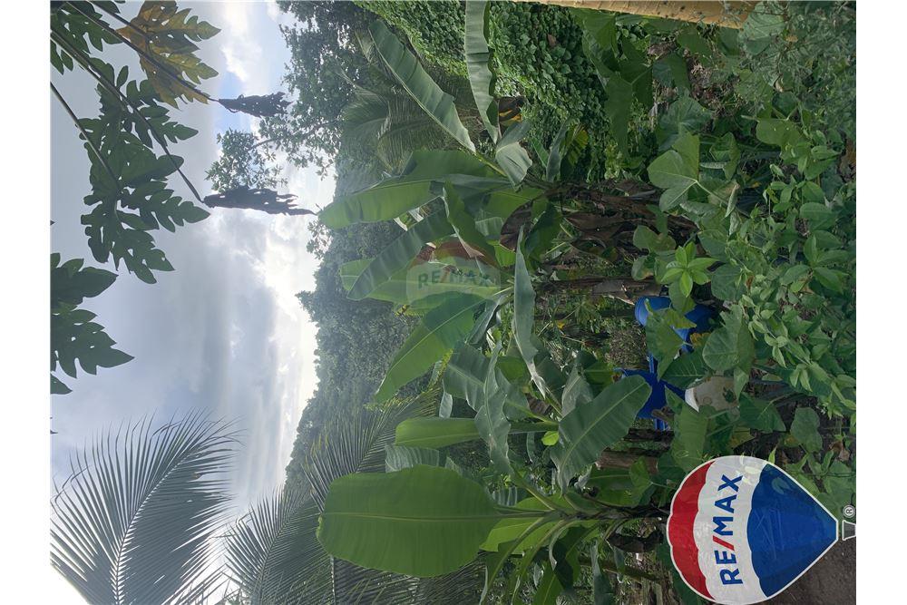 Commercial - Land - Monchy, Dauphin, St Lucia - Caribbean & Central Ameri - 7 - 902071001-228