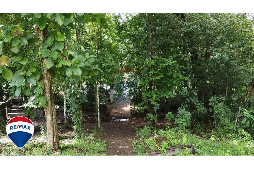 Commercial - Land - San José, San José, Costa Rica - Caribbean & Central Ameri - 3 - 90168030-67