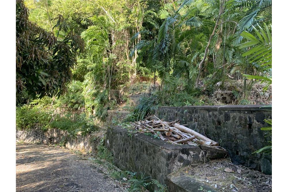 Commercial - Land - Castries, Castries, St Lucia - Caribbean & Central Ameri - 6 - 902071001-227