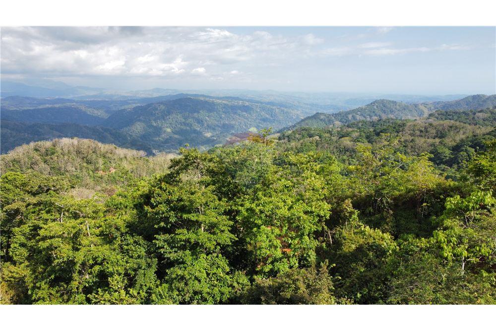 Commercial - Land - Bijagual, Puntarenas, Costa Rica - Caribbean & Central Ameri - 15 - 90168030-68