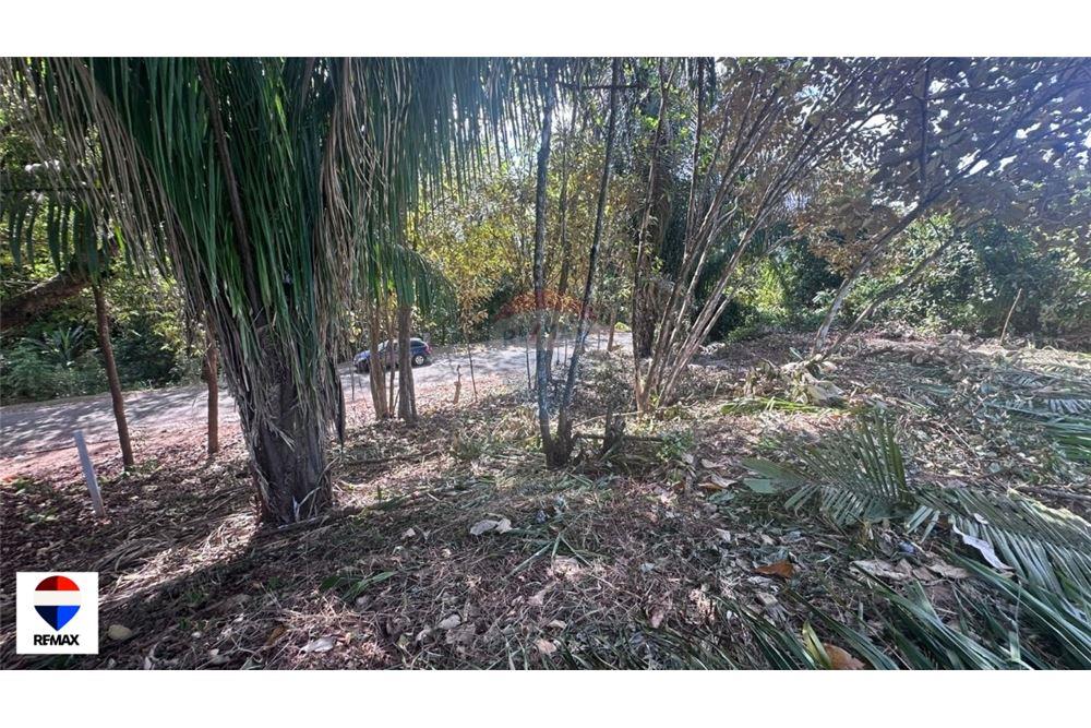 Commercial - Land - Parrita - Esterillos, Puntarenas - Parrita, Costa Rica - Caribbean & Central Ameri - 12 - 90168030-72