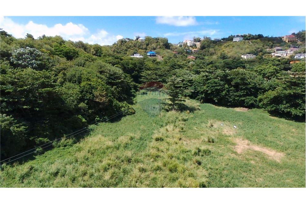 Commercial - Land - Prospect, St Vincent, St Vincent and the Grenadines - Caribbean & Central Ameri - 5 - 90109004-61