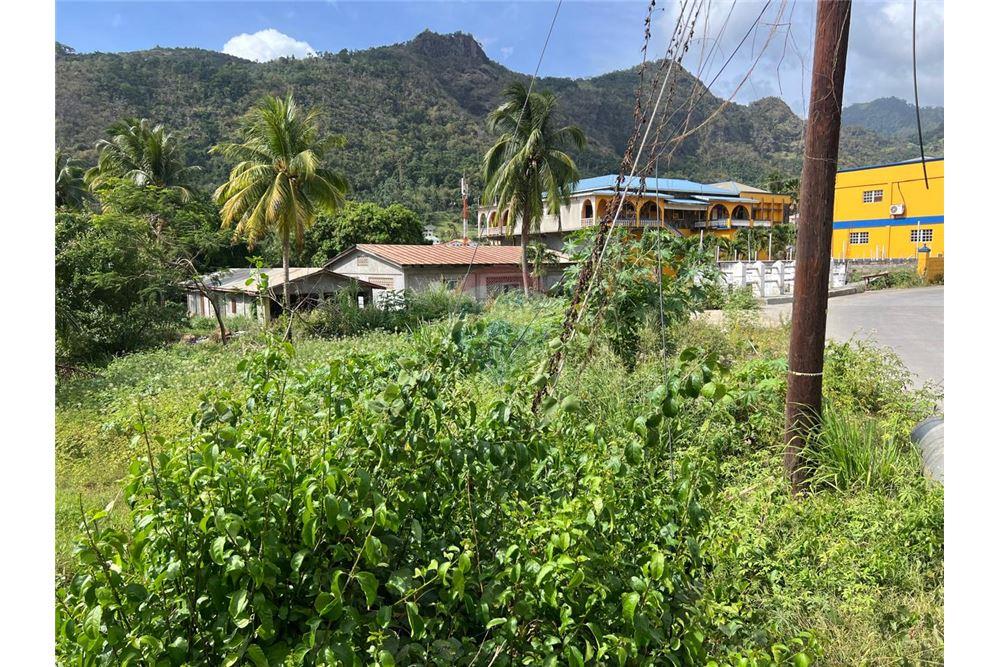 Commercial - Land - Buccament, St Vincent, St Vincent and the Grenadines - Caribbean & Central Ameri - 4 - 90109004-67