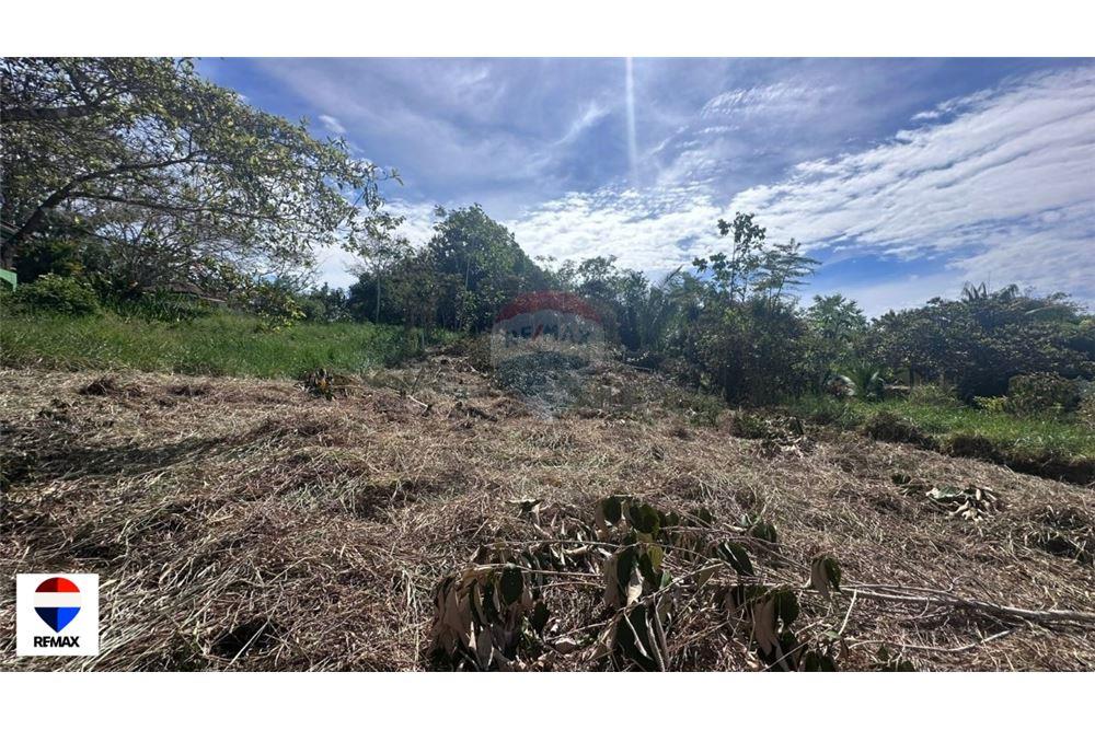 Commercial - Land - Parrita - Esterillos, Puntarenas - Parrita, Costa Rica - Caribbean & Central Ameri - 18 - 90168030-72