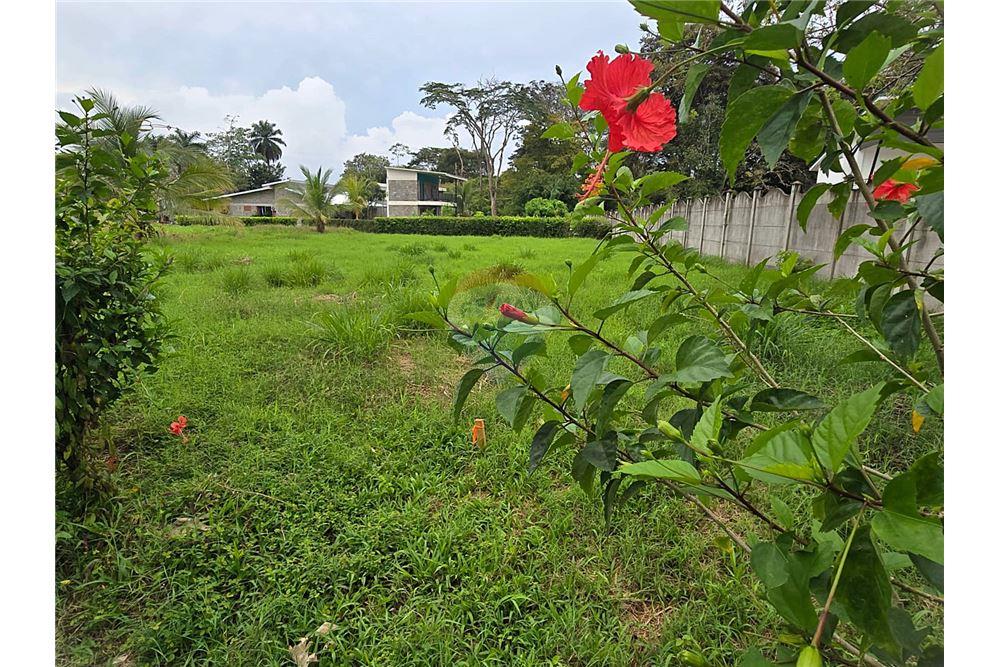 Commercial - Land - Bejuco, Guanacaste - Nandayure, Costa Rica - Caribbean & Central Ameri - 1 - 90168011-801