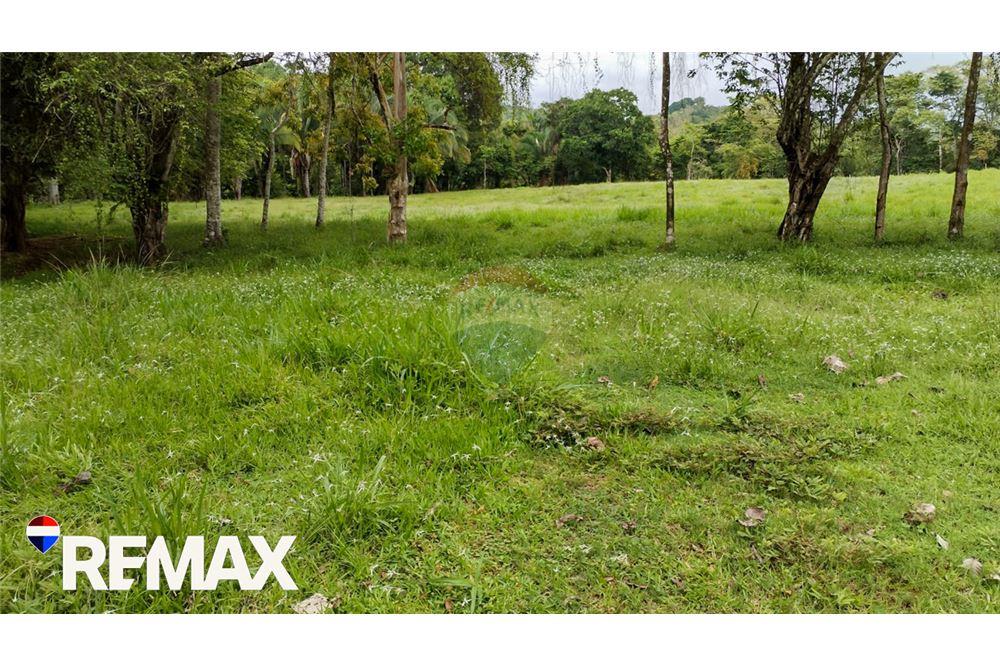 Commercial - Land - Parrita, Puntarenas - Parrita, Costa Rica - Caribbean & Central Ameri - 12 - 90168013-191