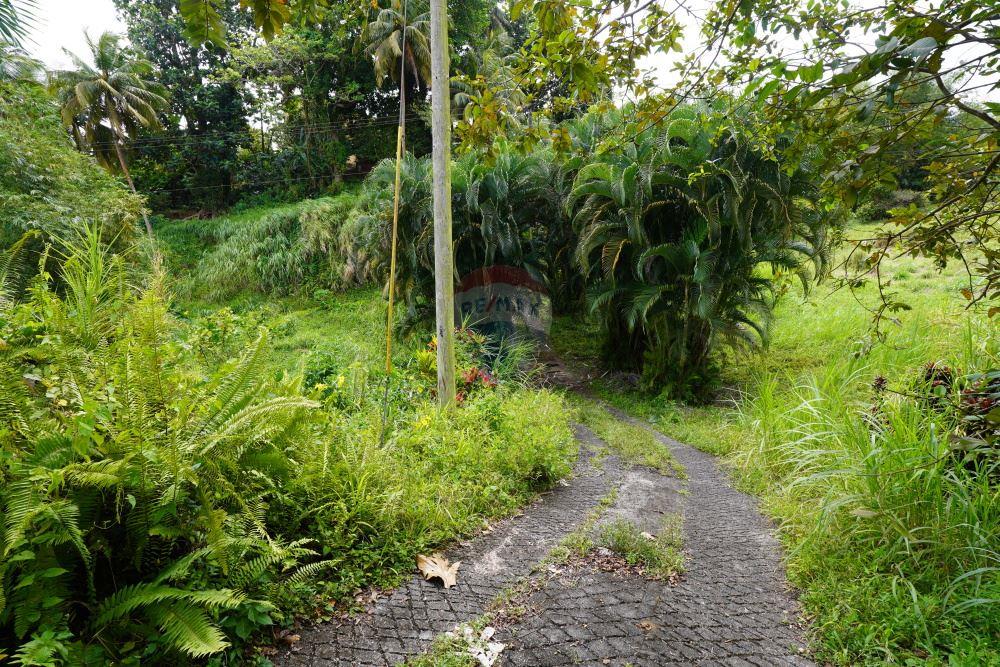 Residential - Villa - Mesopotamia, St Vincent, St Vincent and the Grenadines - Caribbean & Central Ameri - 8 - 90109001-345