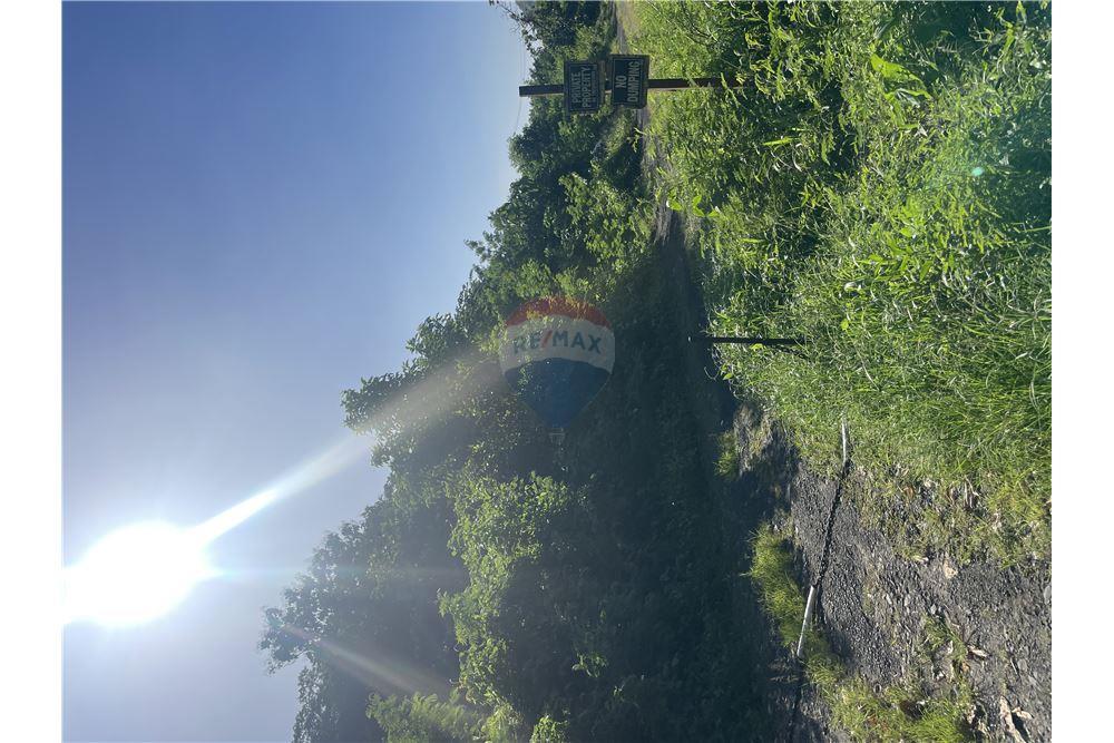 Commercial - Land - La Pearle, Soufrière, St Lucia - Caribbean & Central Ameri - 5 - 902071001-222