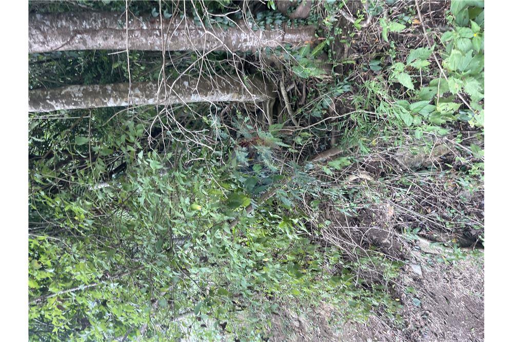Commercial - Land - Gros Islet, Gros-Islet, St Lucia - Caribbean & Central Ameri - 4 - 902071001-213