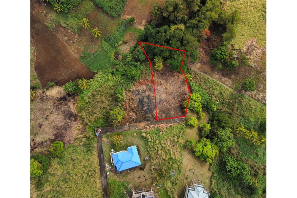 Commercial - Land - Sion Hill, St Vincent, St Vincent and the Grenadines - Caribbean & Central Ameri - 2 - 90109010-1