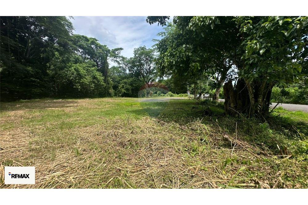 Commercial - Land - Puntarenas, Puntarenas - Puntarenas, Costa Rica - Caribbean & Central Ameri - 17 - 90168030-53