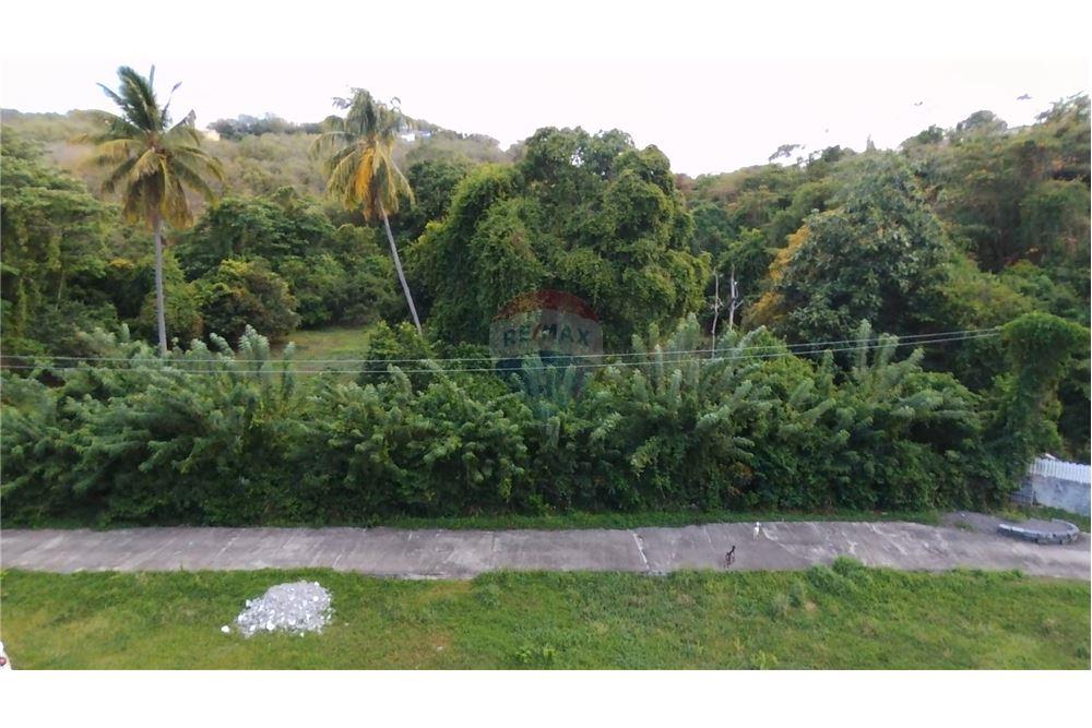 Commercial - Land - Brighton Village, St Vincent, St Vincent and the Grenadines - Caribbean & Central Ameri - 7 - 90109001-351