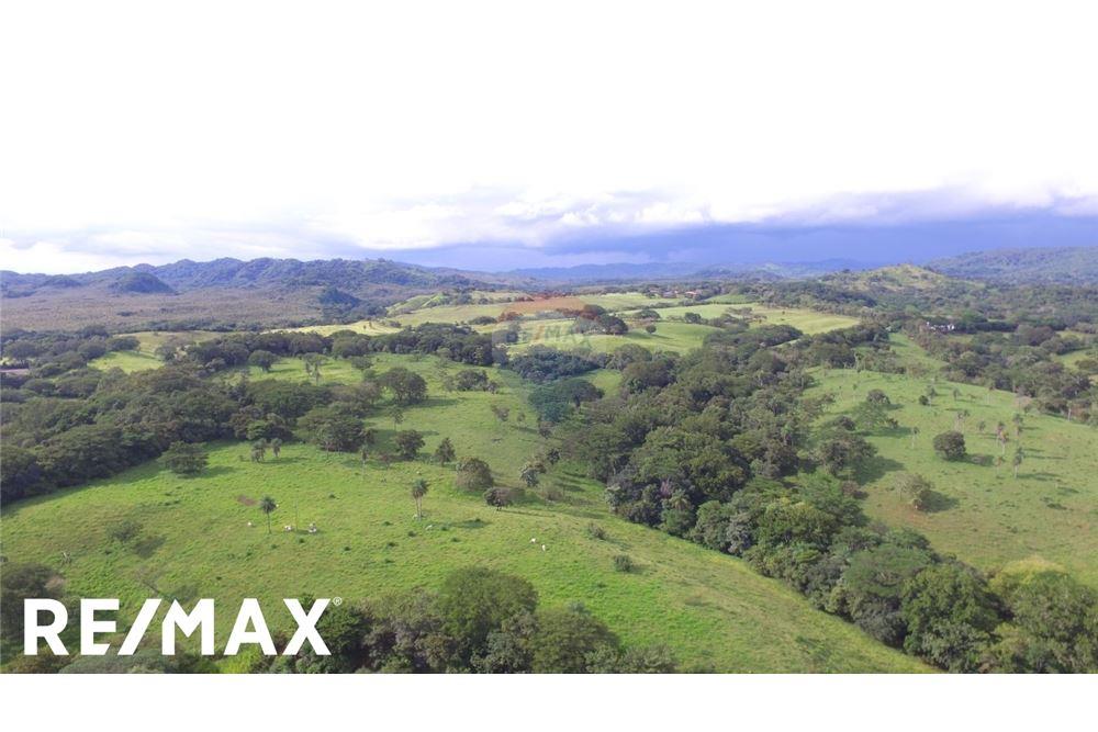 Commercial - Land - Puntarenas, Puntarenas - Puntarenas, Costa Rica - Caribbean & Central Ameri - 2 - 90168030-75