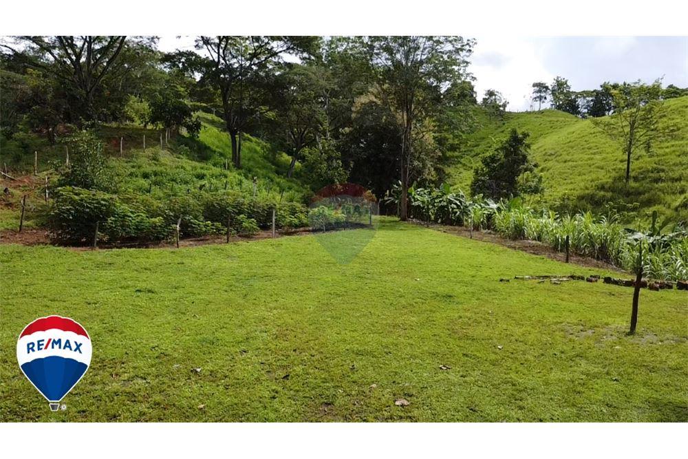 Commercial - Land - San José, San José, Costa Rica - Caribbean & Central Ameri - 4 - 90168030-67