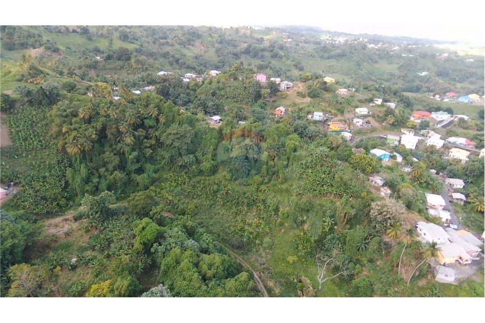 Commercial - Land - Adelphi, St Vincent, St Vincent and the Grenadines - Caribbean & Central Ameri - 5 - 90109004-59