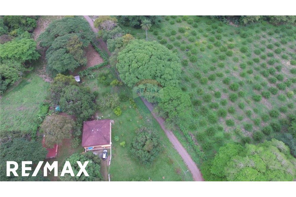 Commercial - Land - Puntarenas, Puntarenas - Puntarenas, Costa Rica - Caribbean & Central Ameri - 28 - 90168030-75