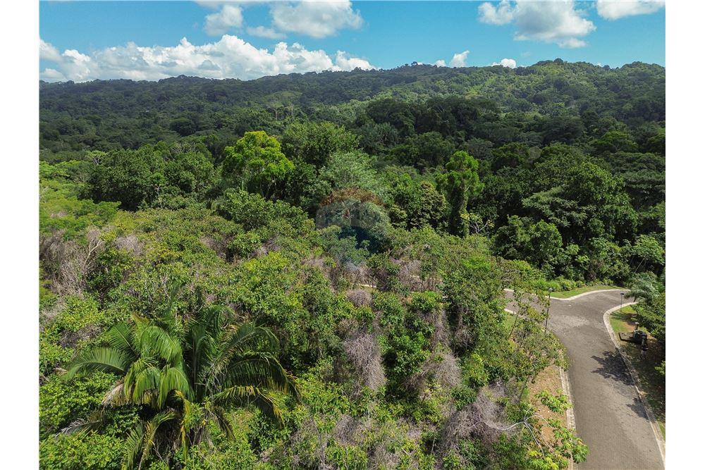 Commercial - Land - Parrita - Esterillos, Puntarenas - Parrita, Costa Rica - Caribbean & Central Ameri - 16 - 90168039-32