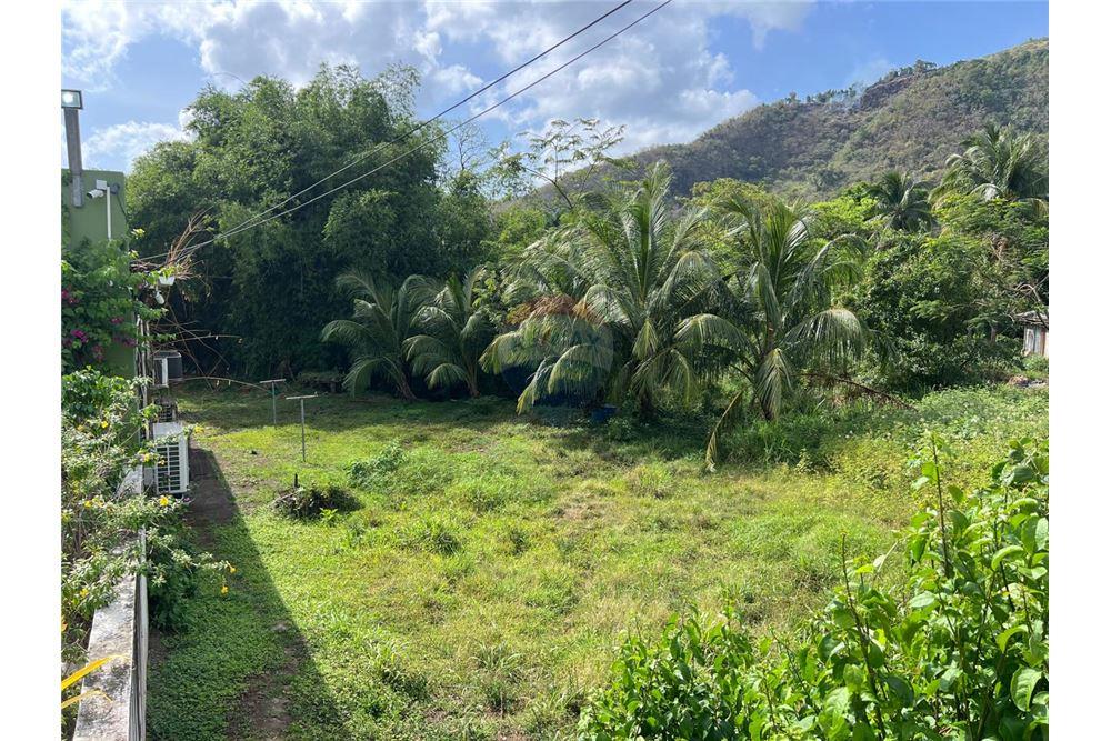 Commercial - Land - Buccament, St Vincent, St Vincent and the Grenadines - Caribbean & Central Ameri - 9 - 90109004-67