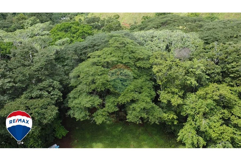 Commercial - Land - San José, San José, Costa Rica - Caribbean & Central Ameri - 24 - 90168030-67